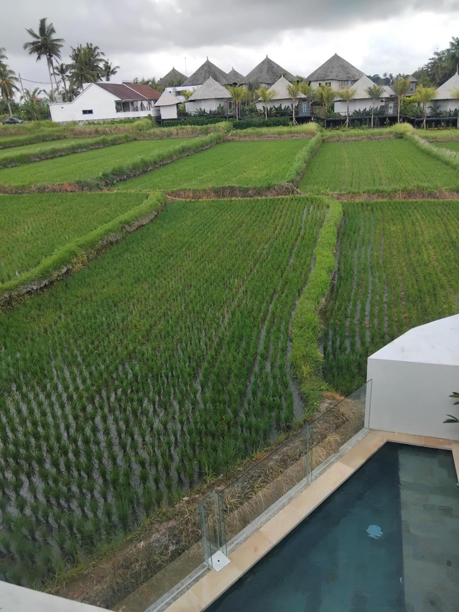 Sujiwa Ubud Hotel & Villa Exterior photo